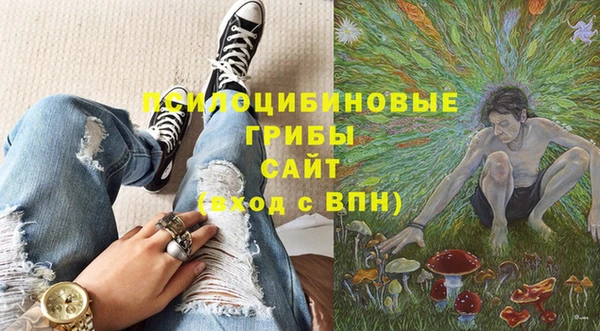 a pvp Алексин