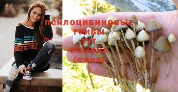 ешки Алзамай