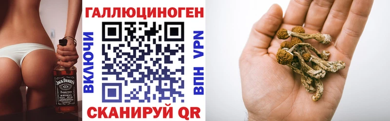 Галлюциногенные грибы Psilocybine cubensis  наркошоп  Ступино 